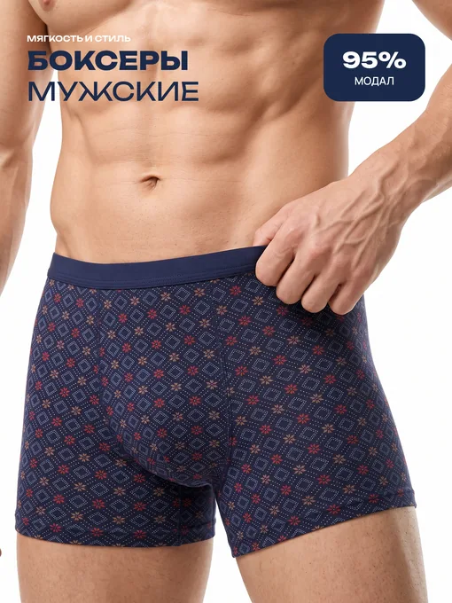 Мужские боксеры. Главное изображение